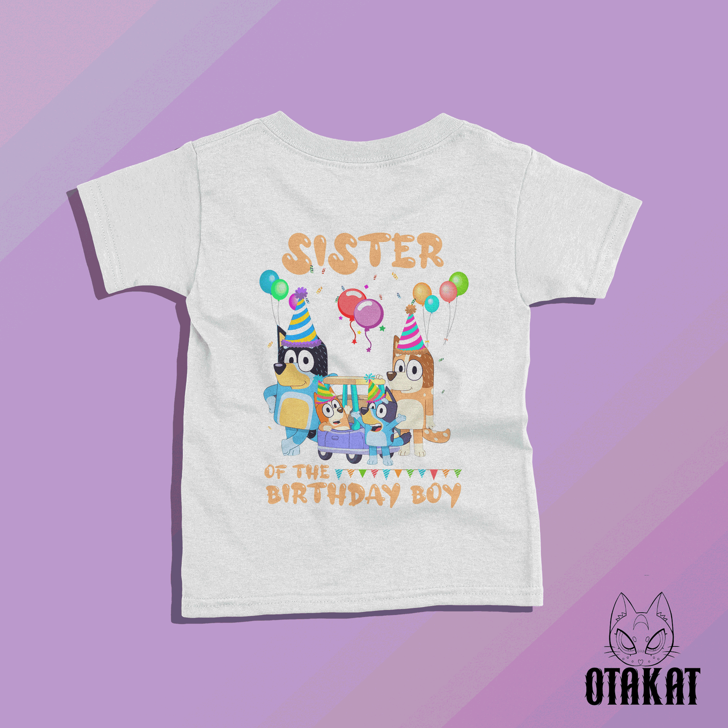 bluey sister of the birthday boy Tshirt kid size